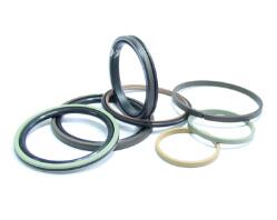 ���ķ���ϩ�ܷ����ʮ�և���Ĺ�ˇҪ��